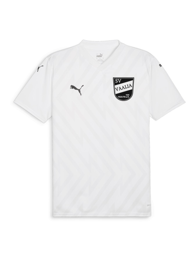 PUMA teamGLORY Trikot