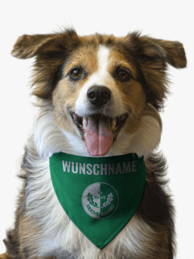 Hundehalstuch