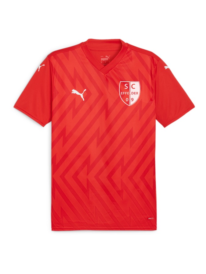 PUMA teamGLORY Trikot