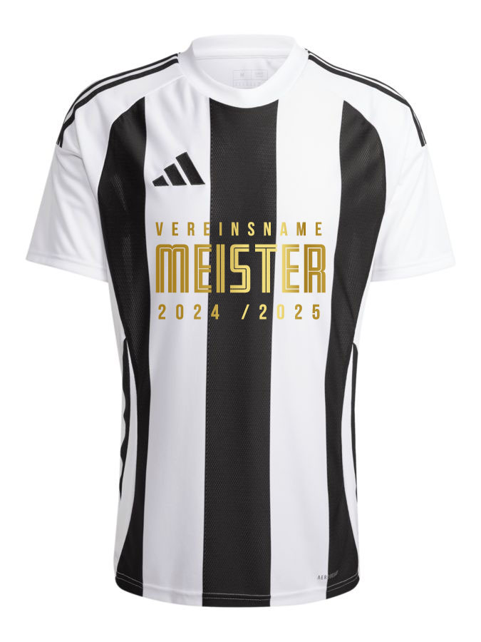 adidas Striped 24 Trikot