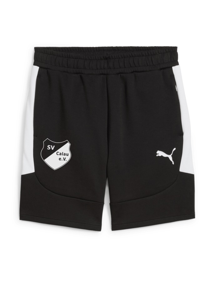 PUMA teamEVOSTRIPE Shorts