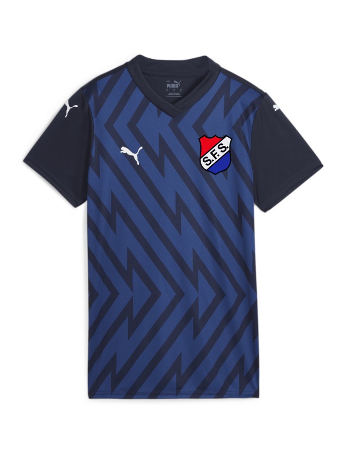 PUMA teamGLORY Trikot Damen