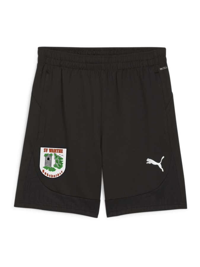 PUMA teamFINAL Training Shorts
