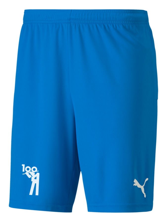 PUMA teamGOAL 23 Knit Shorts