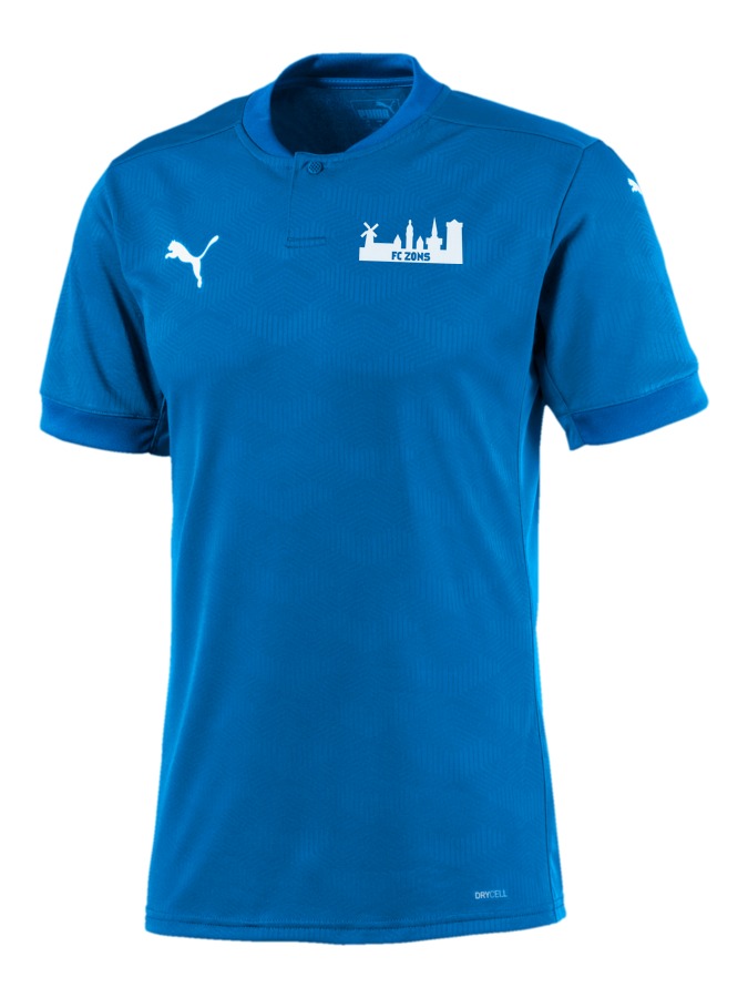 PUMA teamFINAL 21 Trikot