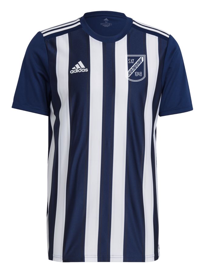 adidas Striped 21 Trikot