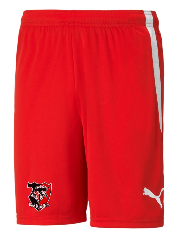 PUMA teamLIGA Shorts