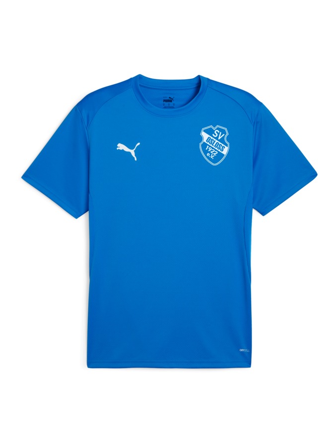 PUMA teamGOAL Trikot