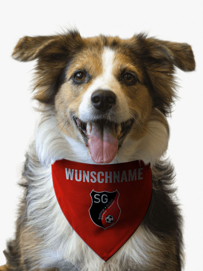 Hundehalstuch