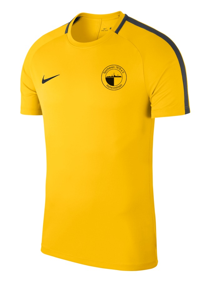 Nike Academy 18 Top