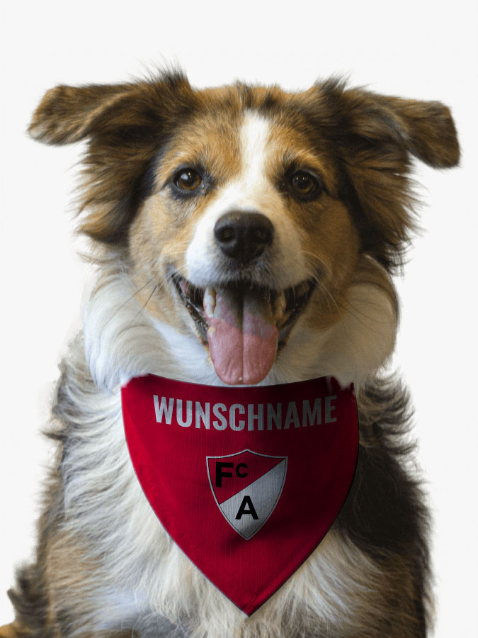Hundehalstuch
