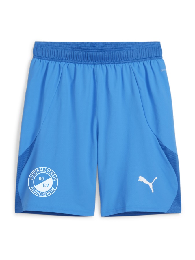 PUMA teamFINAL Shorts