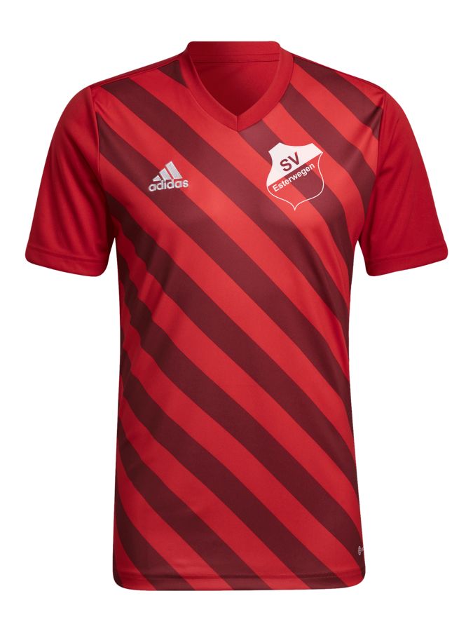 adidas Entrada 22 GFX Trikot