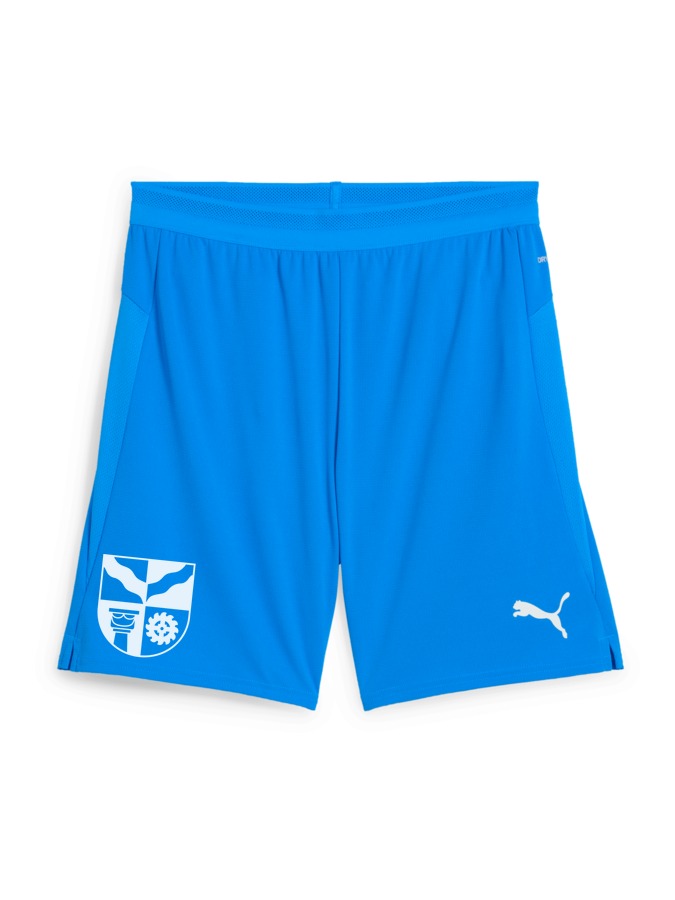 PUMA teamCUP Shorts