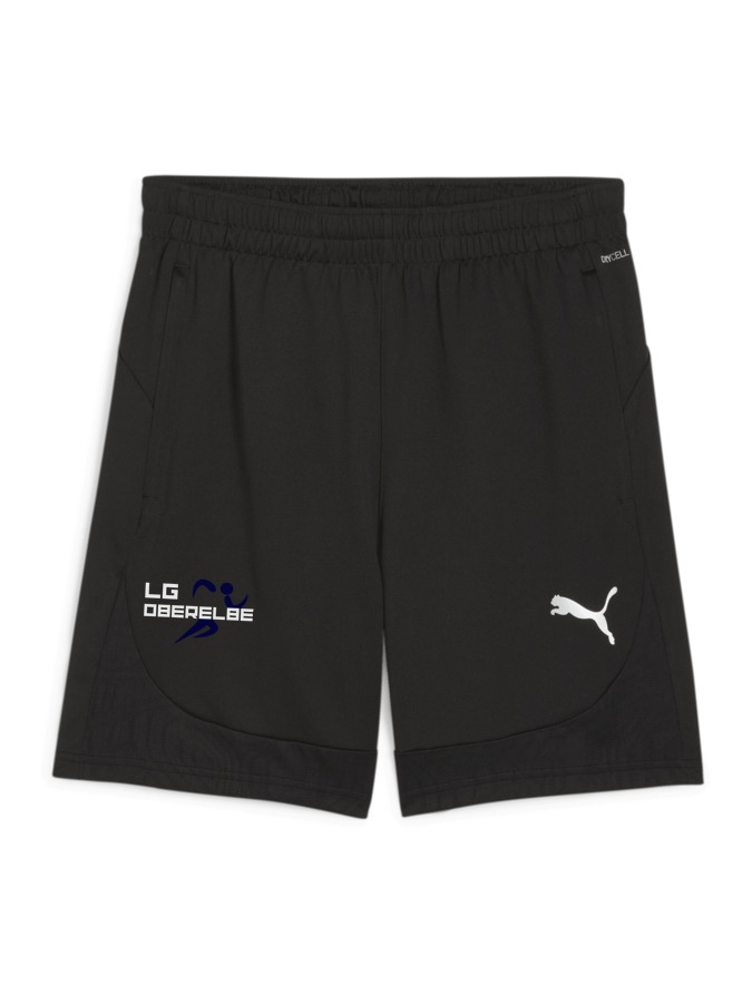 PUMA teamFINAL Training Shorts