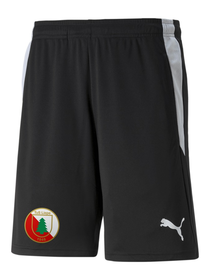 PUMA teamLIGA Referee Shorts