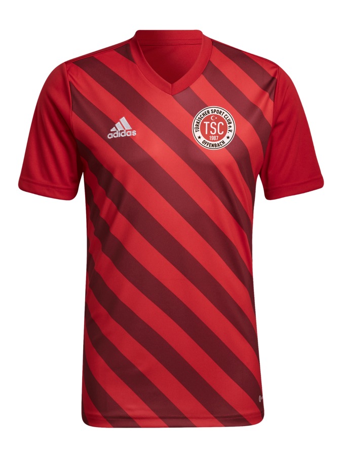 adidas Entrada 22 GFX Trikot