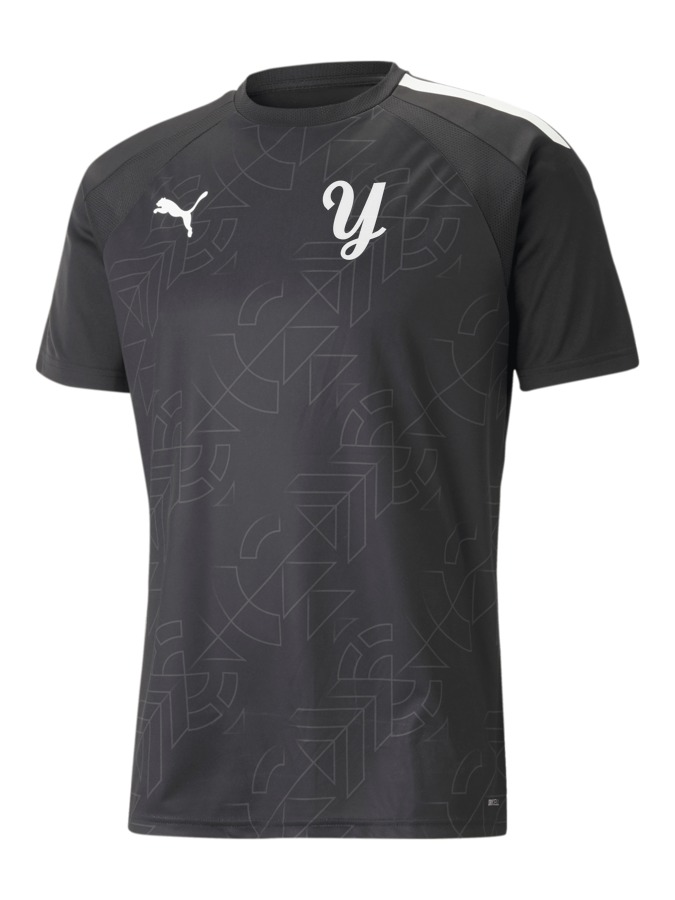 PUMA teamLIGA Graphic Trikot