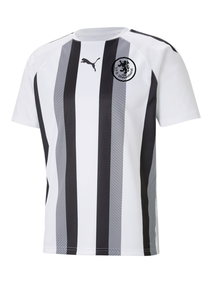 PUMA teamLIGA Striped Trikot