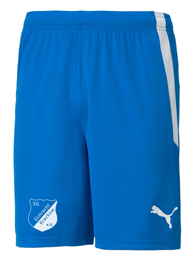 PUMA teamLIGA Shorts