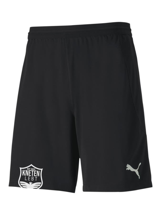 PUMA teamFINAL 21 Knit Shorts
