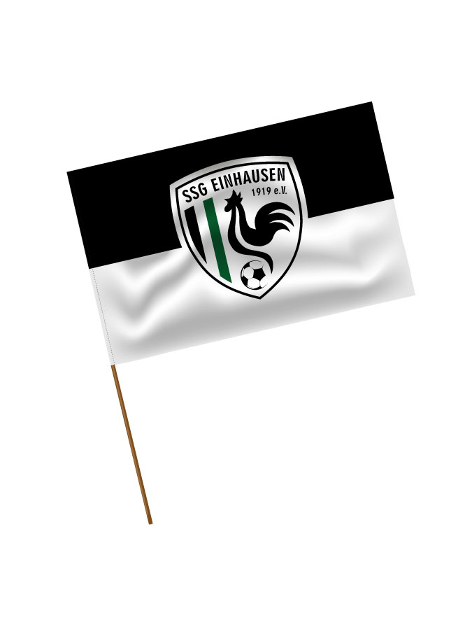 Stadionfahne Logo