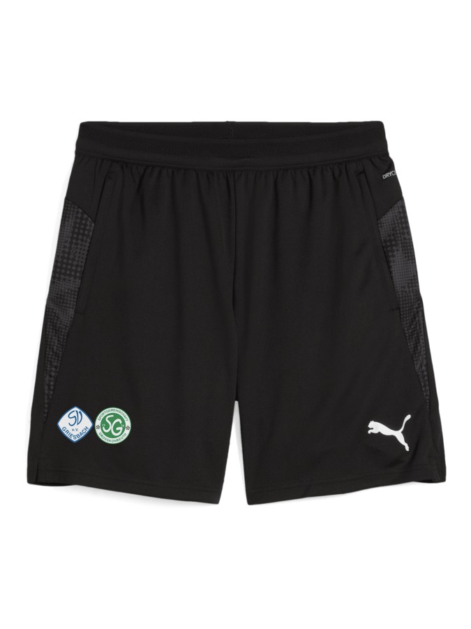 PUMA teamCUP Training Shorts