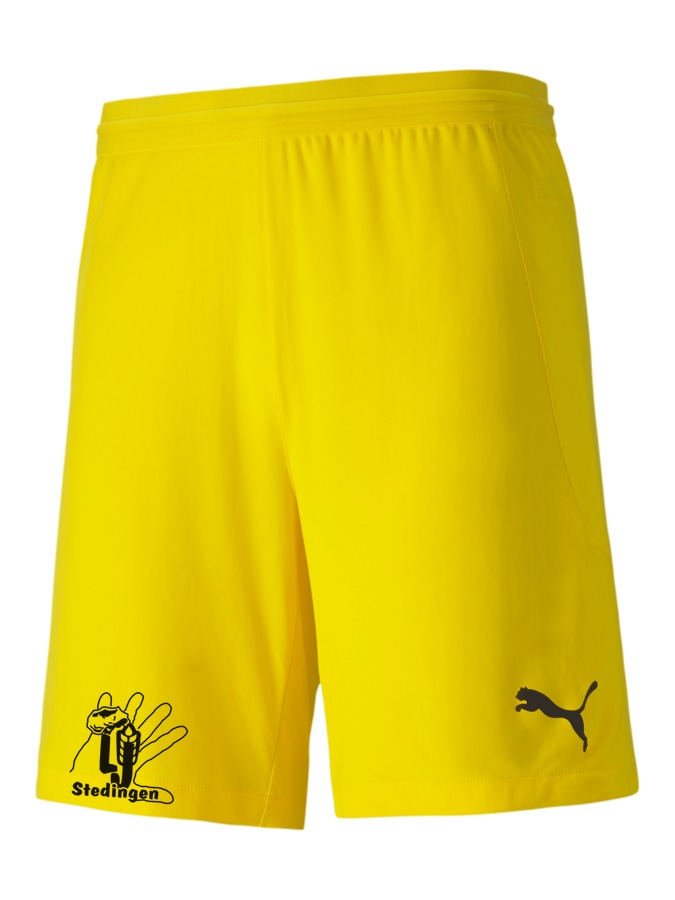 PUMA teamFINAL 21 Knit Shorts