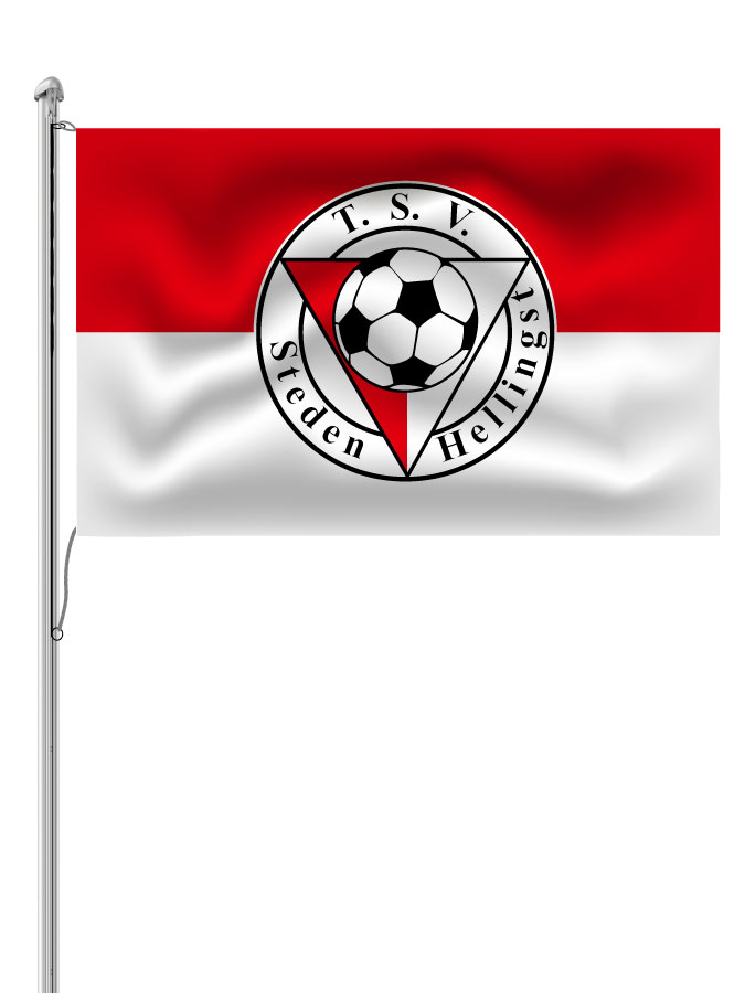 Hissfahne Logo