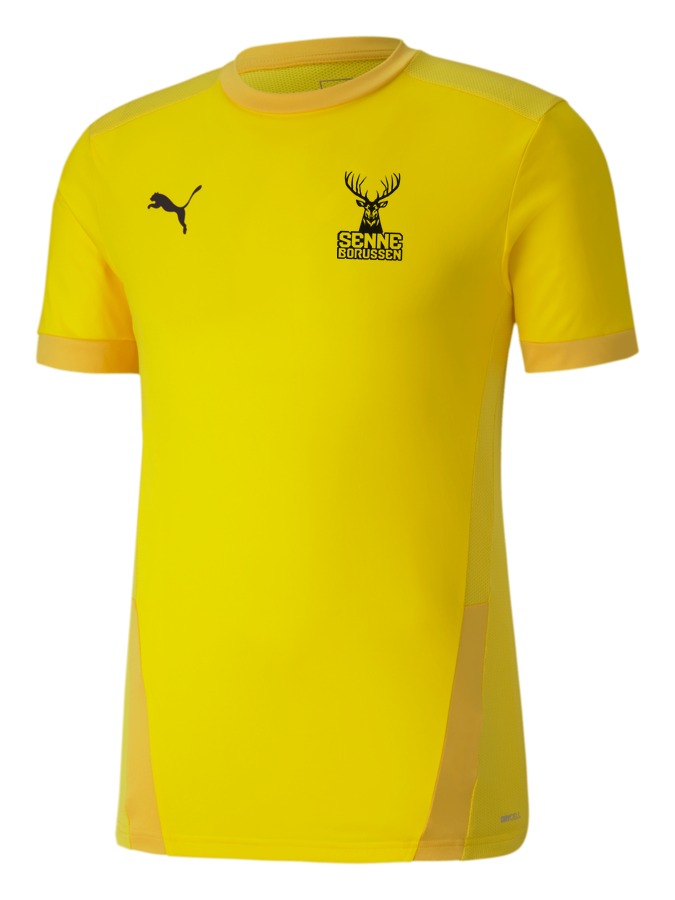 PUMA teamGOAL 23 Trikot