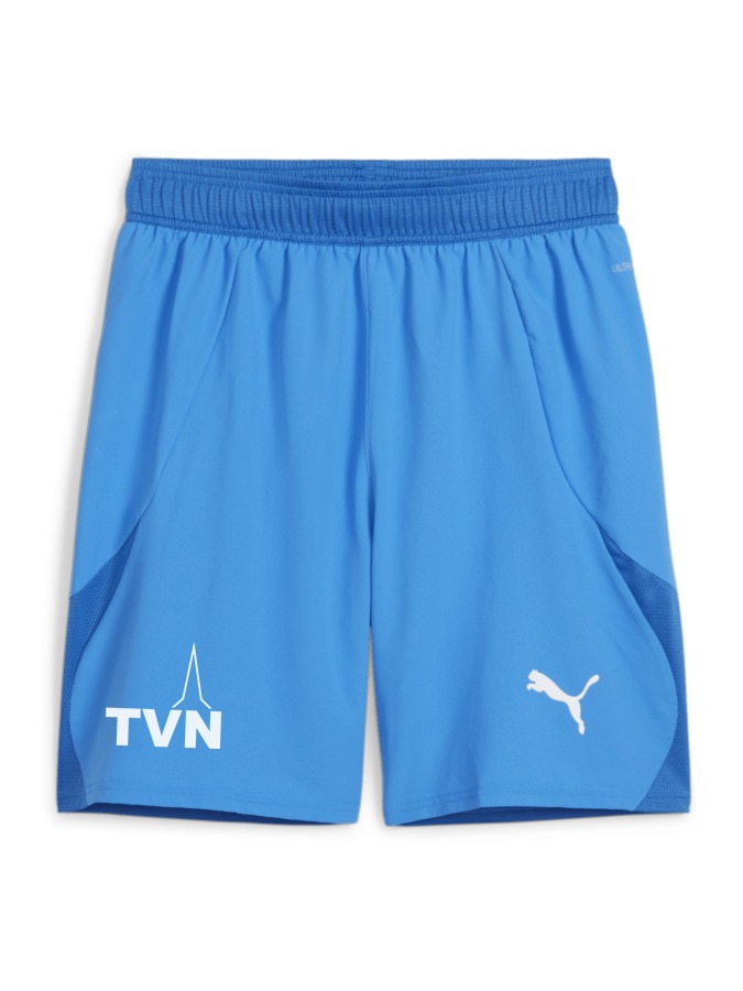 PUMA teamFINAL Shorts