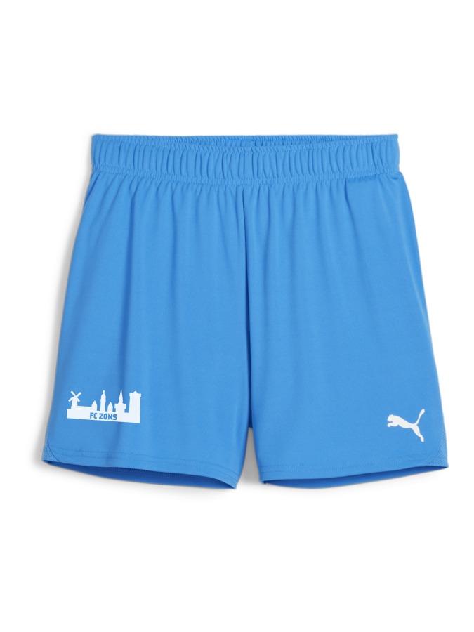 PUMA teamGOAL Handballshorts Damen