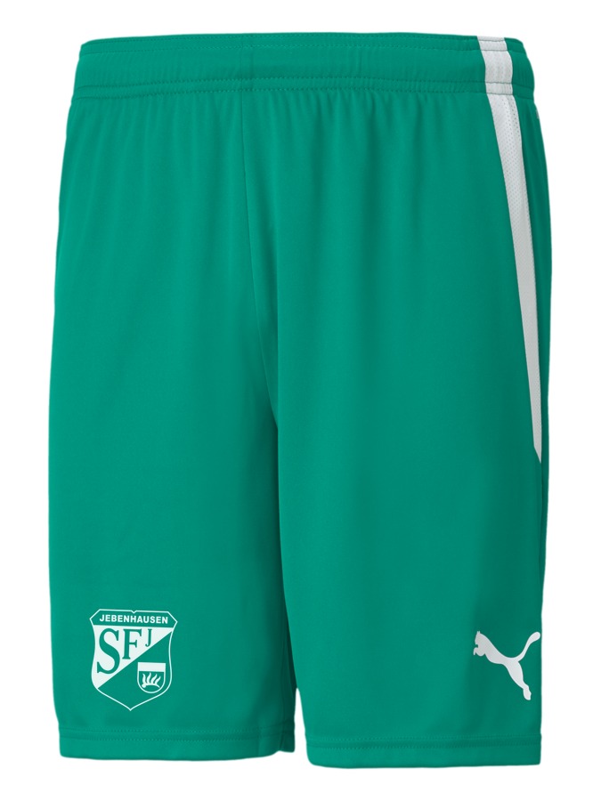 PUMA teamLIGA Shorts