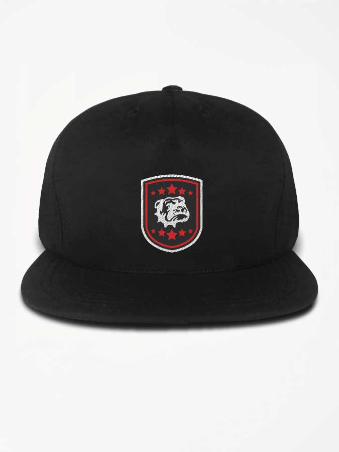 Snapback 5 Panel Sticklogo