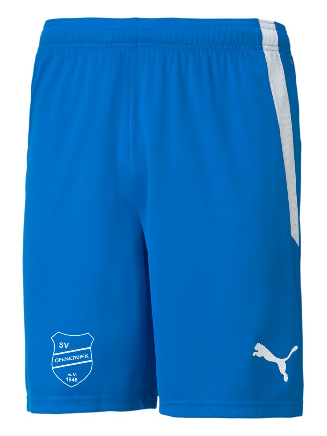PUMA teamLIGA Shorts