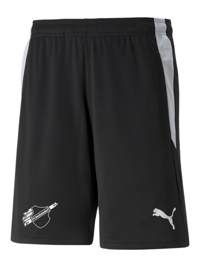 PUMA teamLIGA Referee Shorts