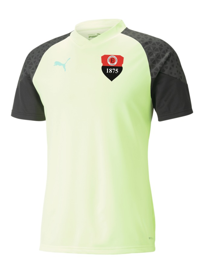 PUMA individualCUP Trainingsshirt