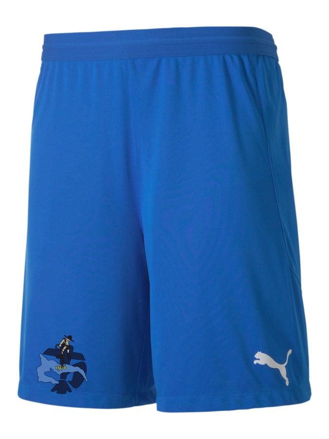 PUMA teamFINAL 21 Knit Shorts