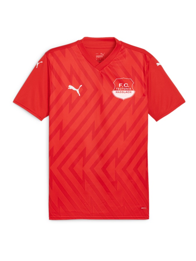 PUMA teamGLORY Trikot