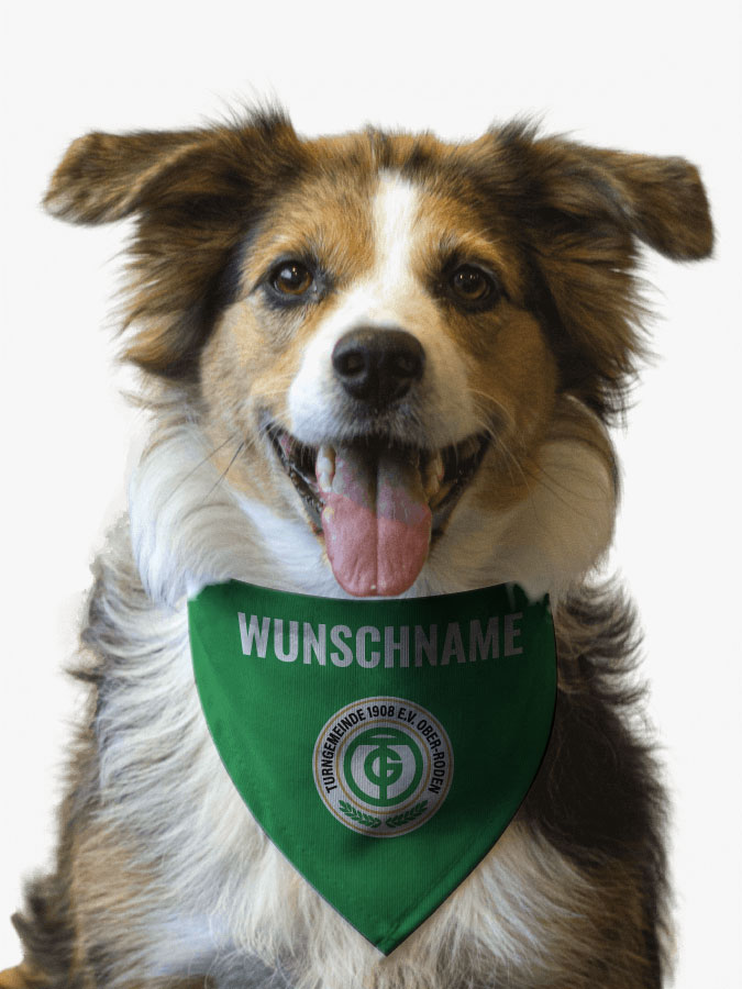 Hundehalstuch