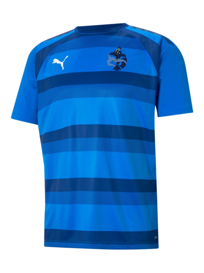 PUMA teamVISION Trikot