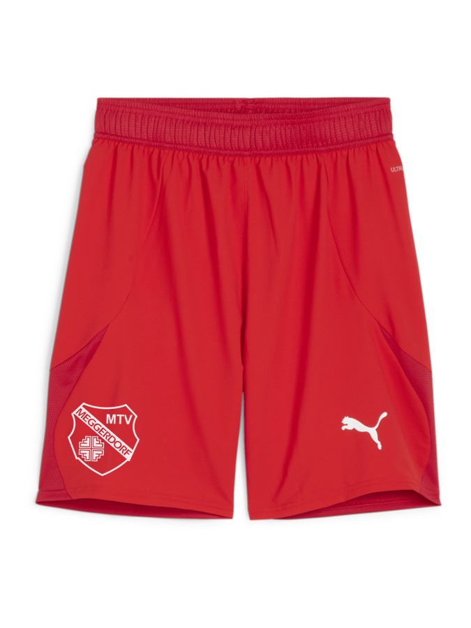 PUMA teamFINAL Shorts