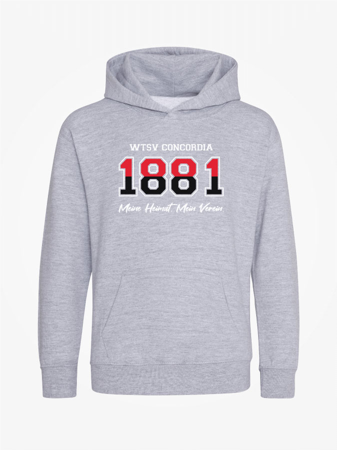 Hoodie Established Kids