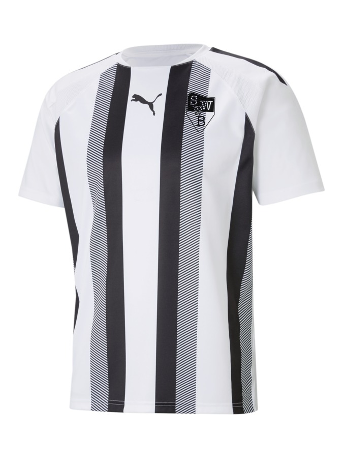 PUMA teamLIGA Striped Trikot