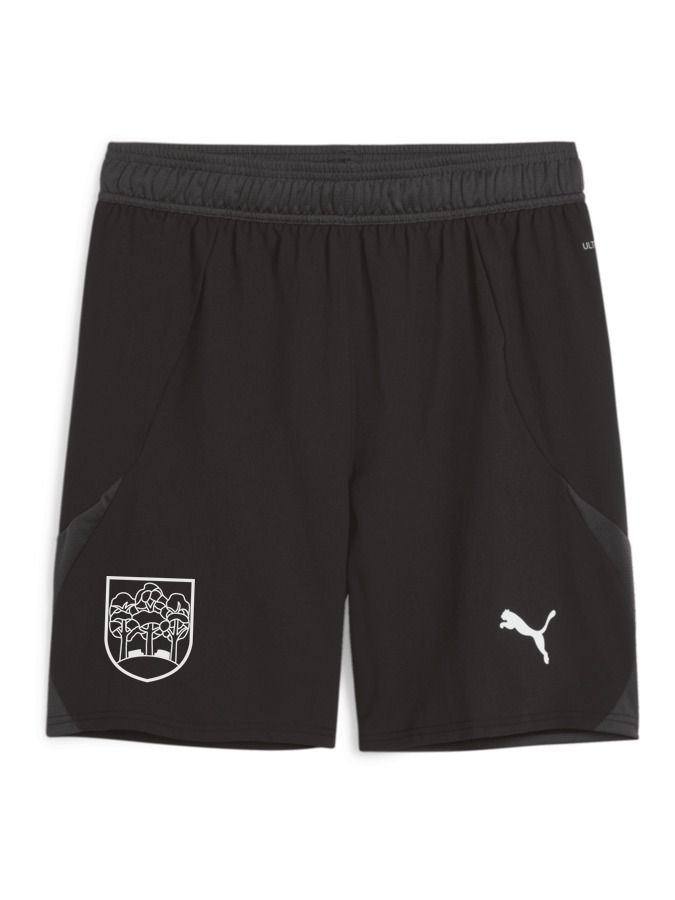 PUMA teamFINAL Shorts