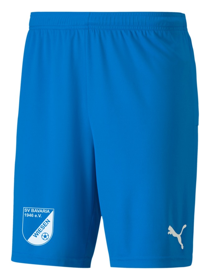PUMA teamGOAL 23 Knit Shorts