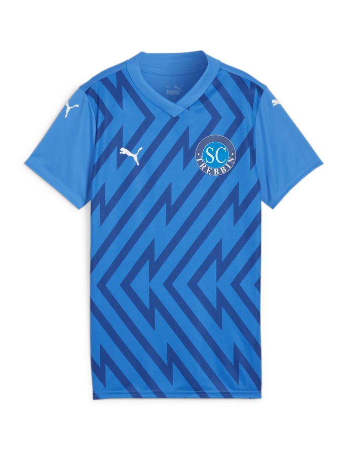 PUMA teamGLORY Trikot Damen