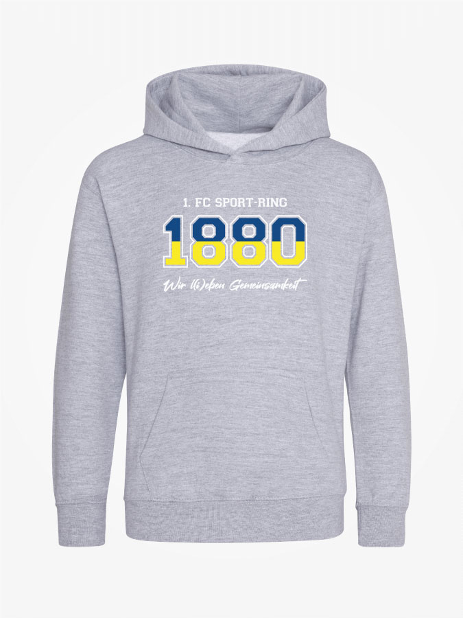 Hoodie Established Kids