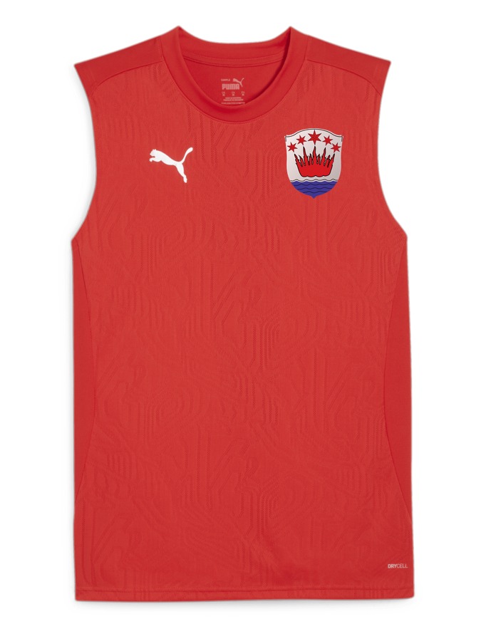 PUMA teamFINAL Trainingstanktop