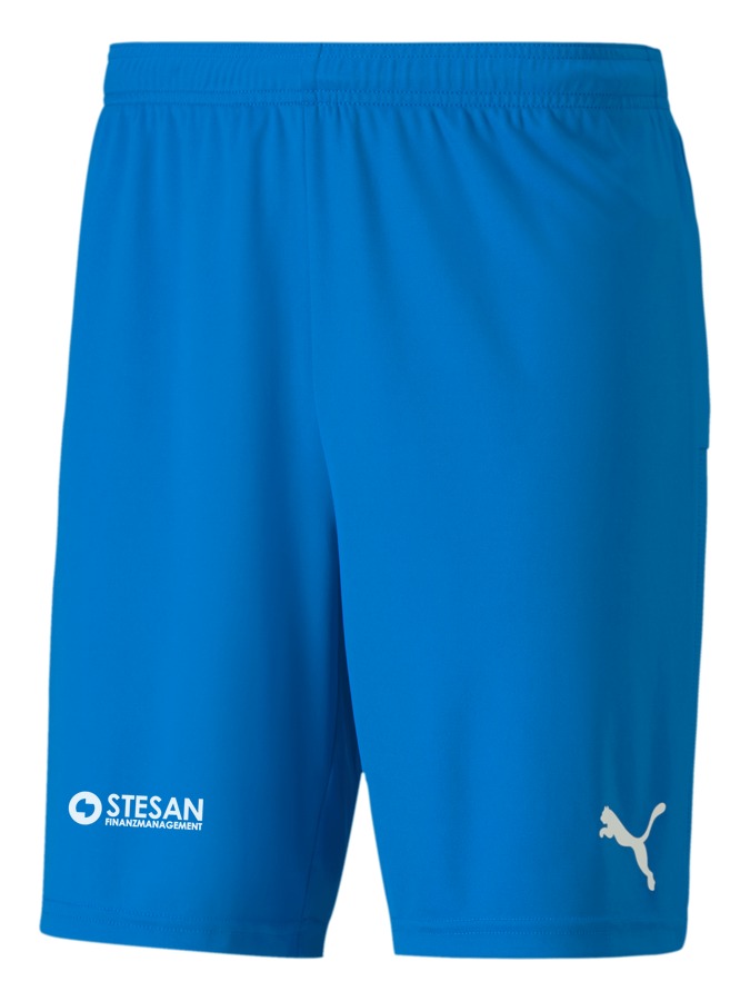 PUMA teamGOAL 23 Knit Shorts